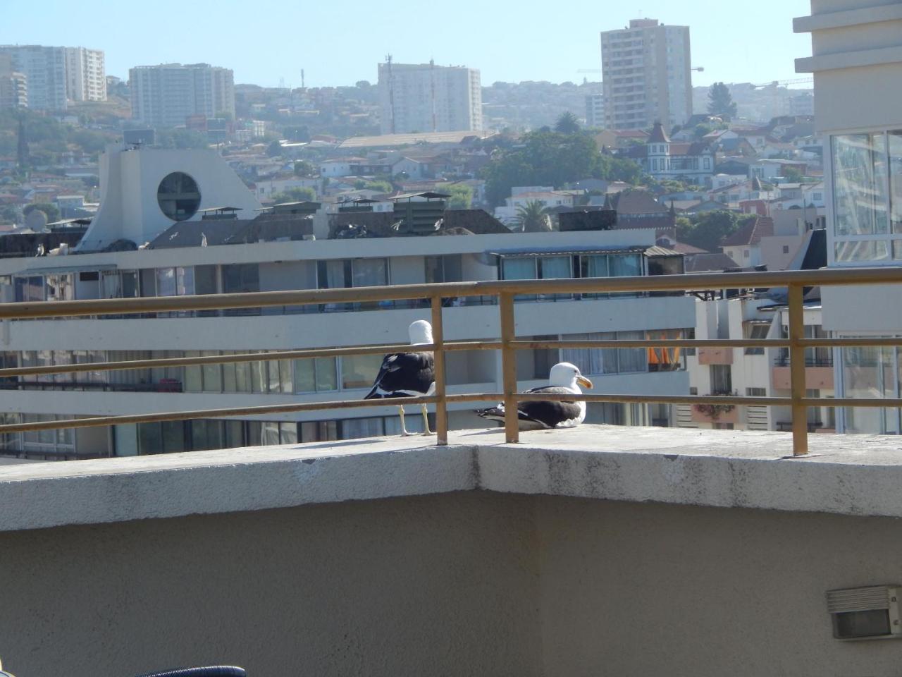 ビニャ・デル・マール1201 Departamento Vs Centro Vinaアパートメント エクステリア 写真